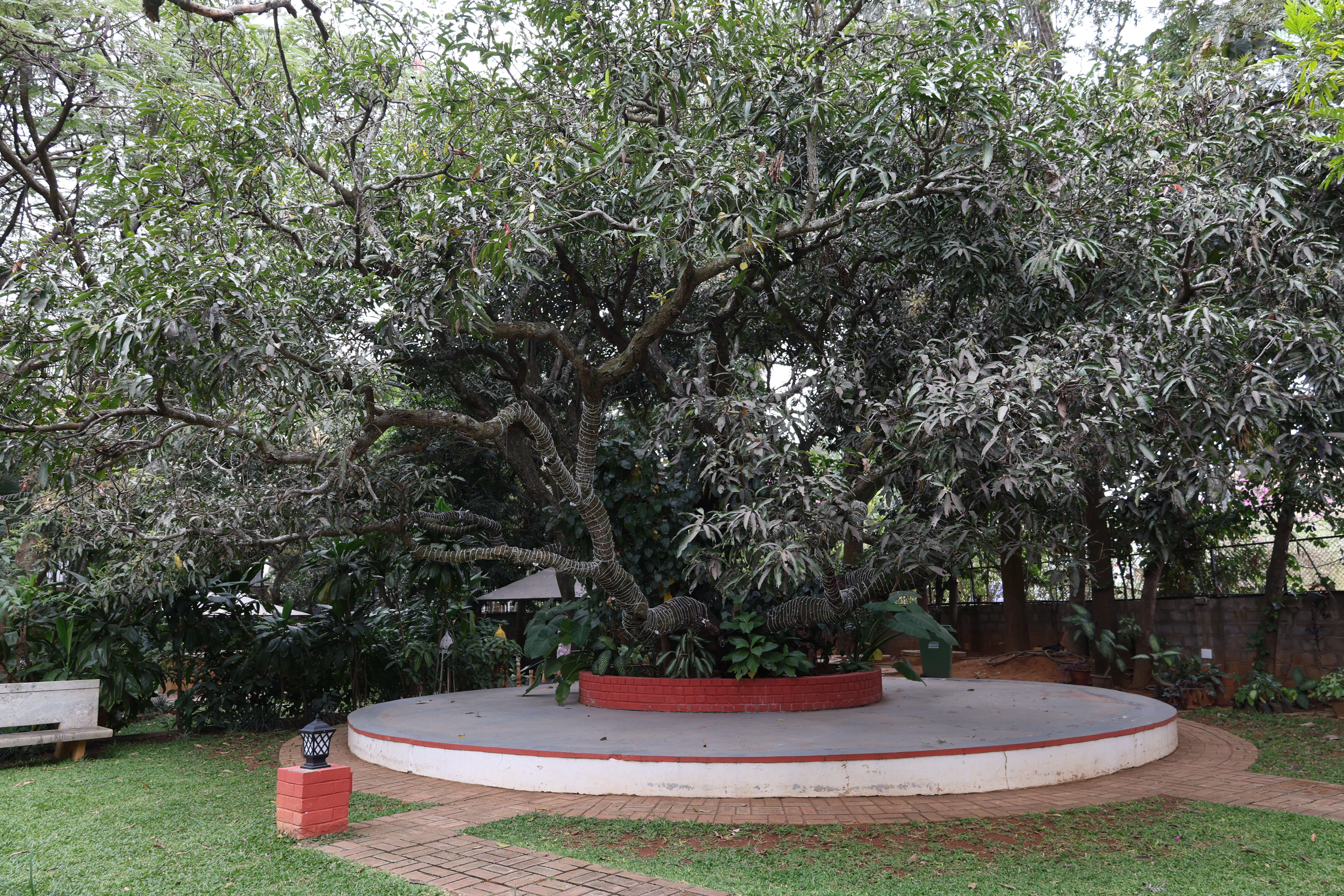 Join the Navy. World War I poster.