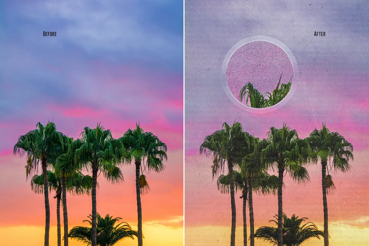Palm tree landscape before and after the vintage offset printer action with detailed zoom view