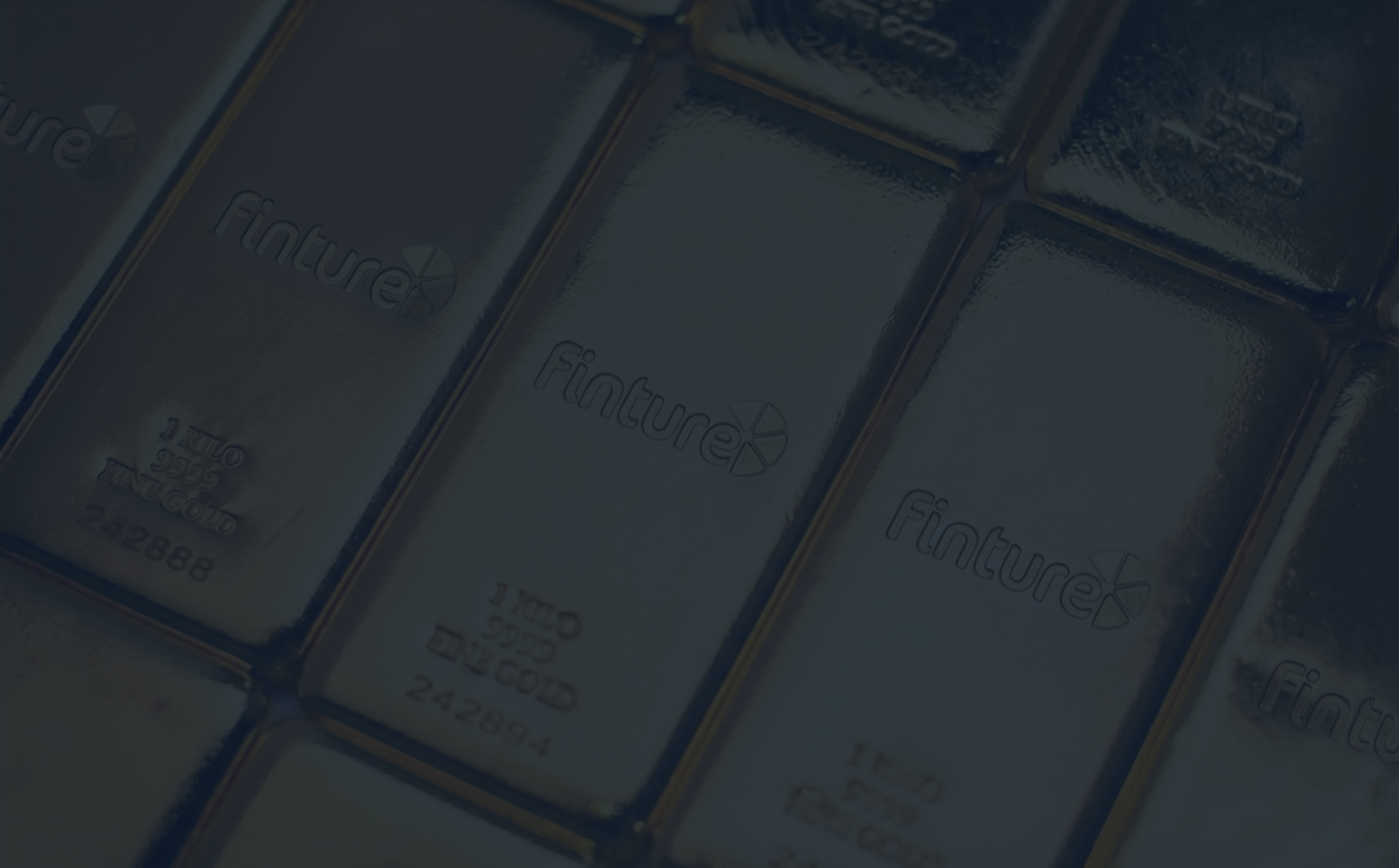 Vermögensschutz mit Finture Edelmetallen Investment