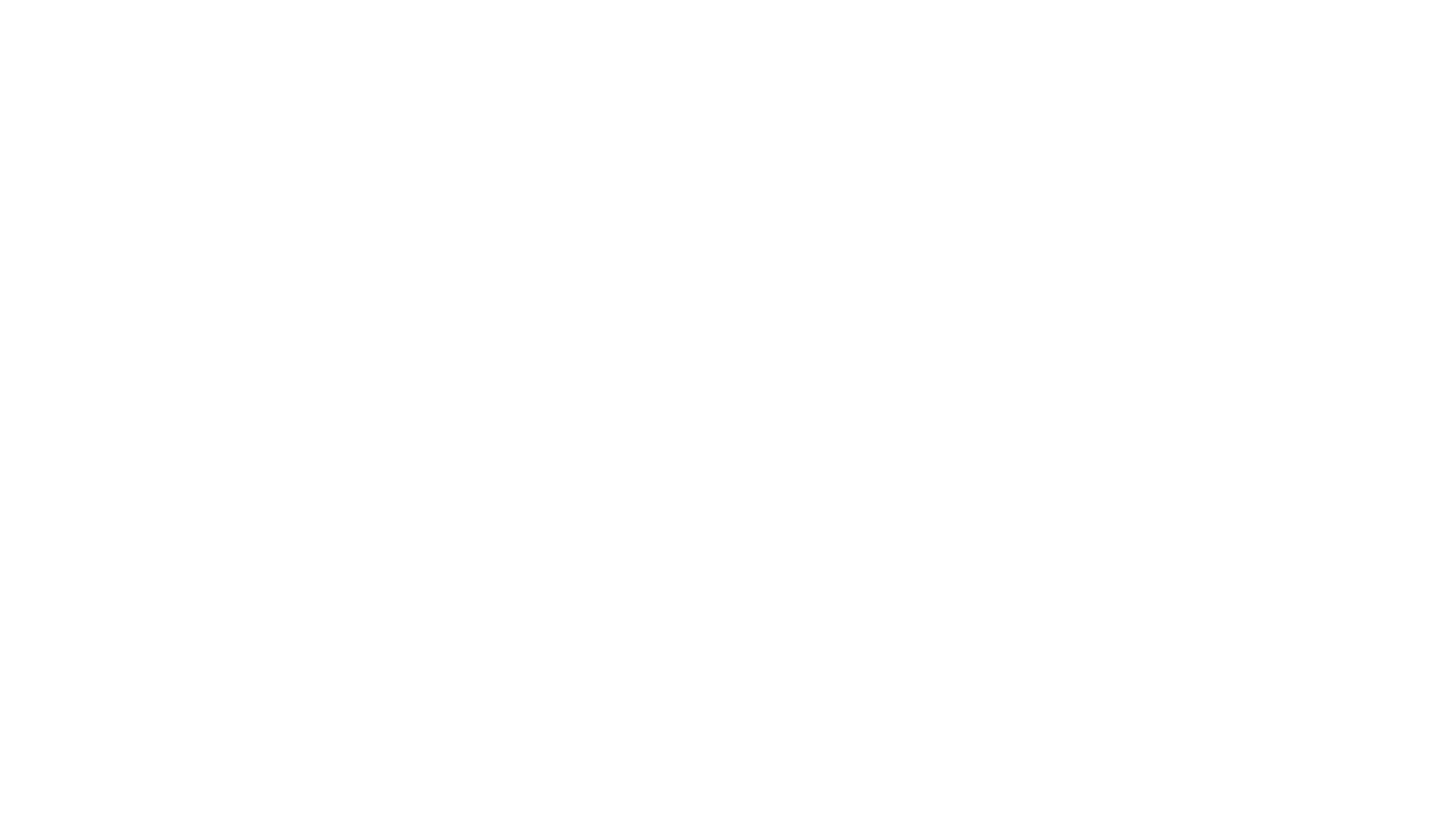 Ryzer Logo