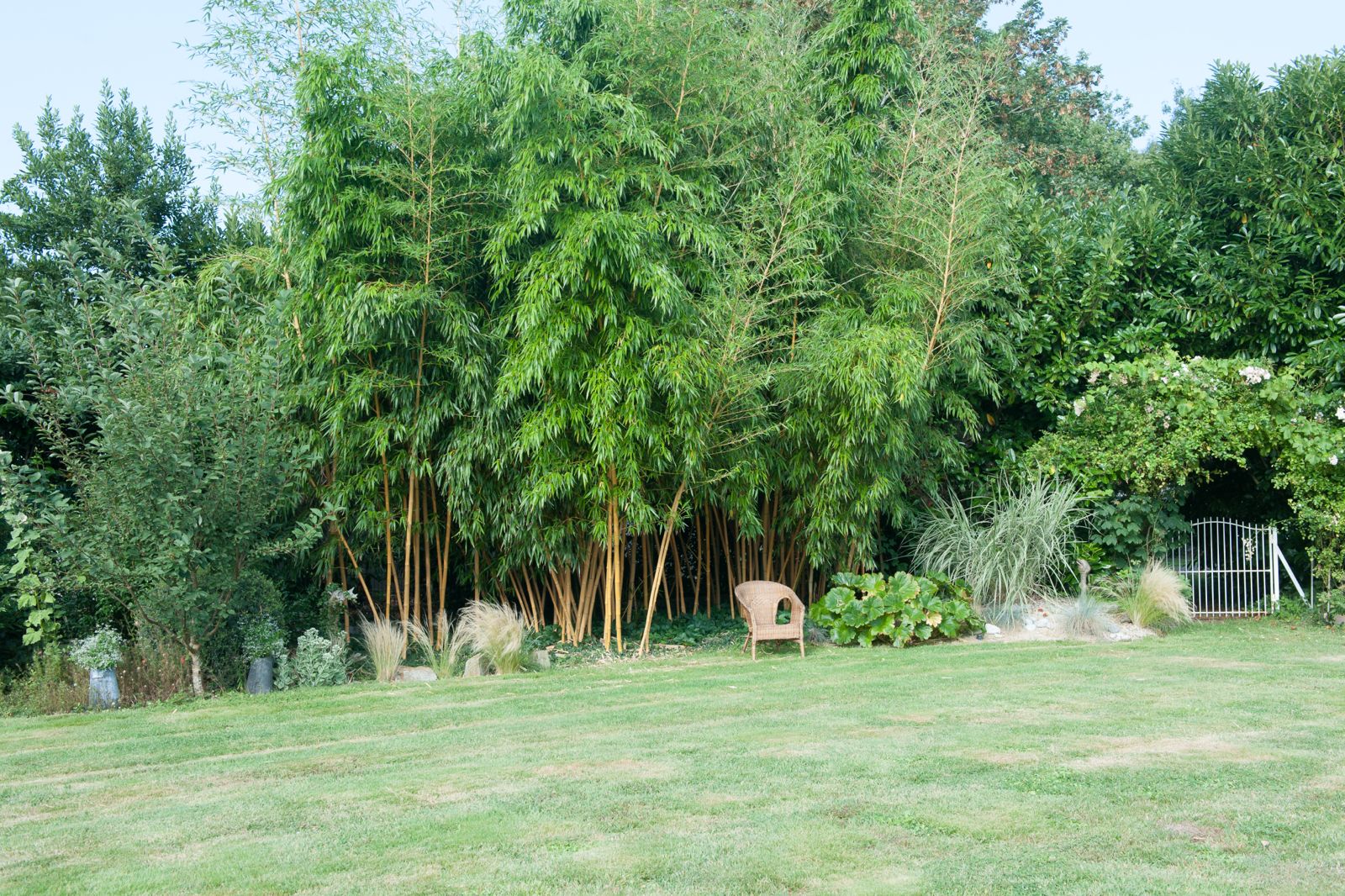 Terrasse avec toiles d'ombrage et piscine