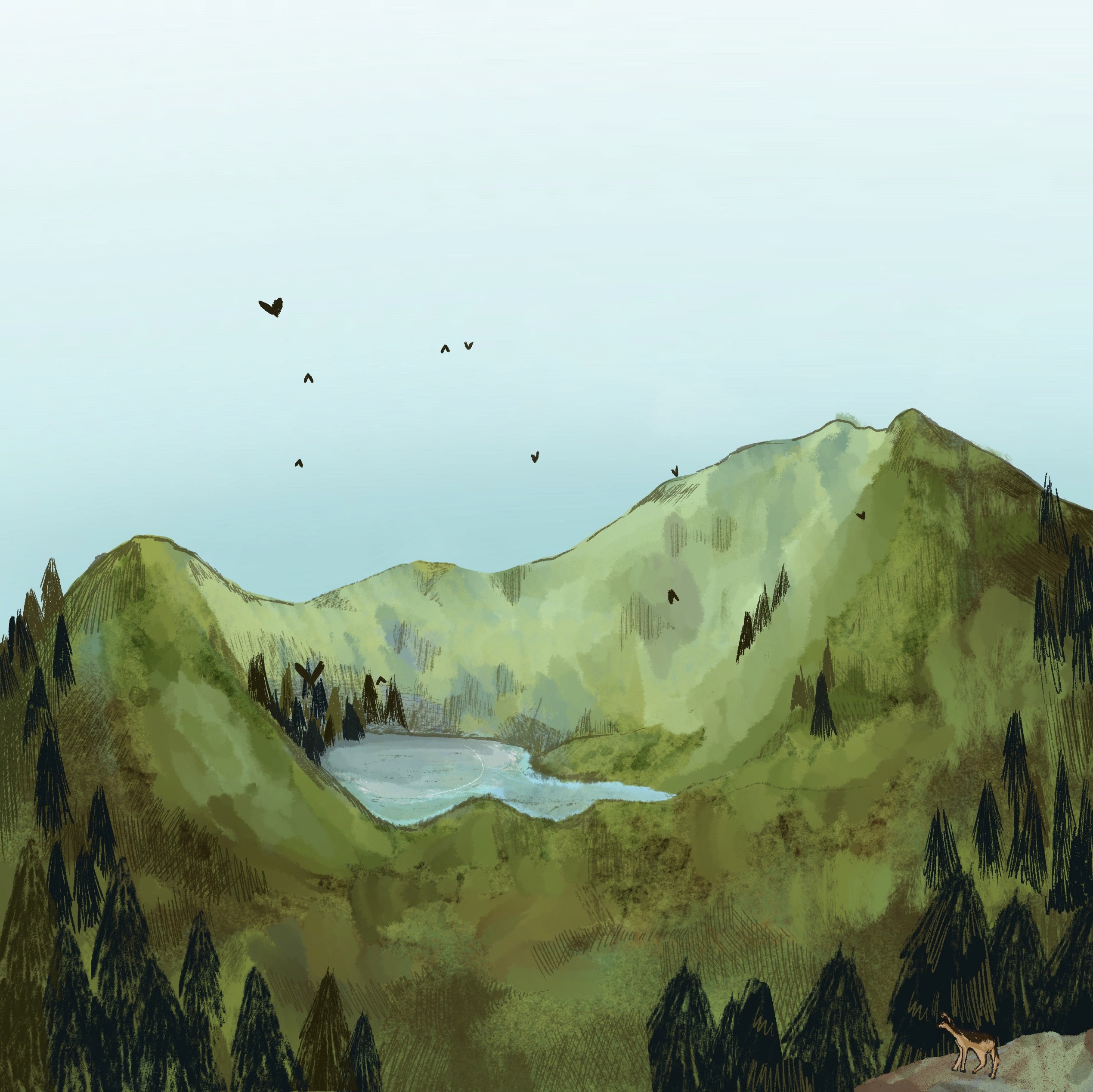 animated mushroom coffee