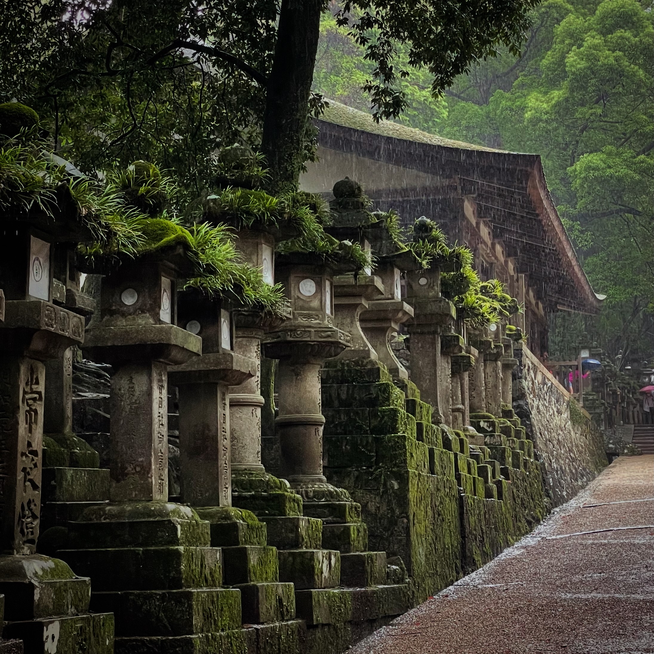 Temple in Nara - Japan