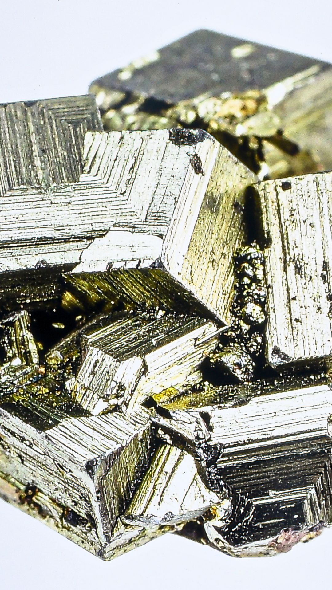 Cristalli di pirite, il minerale simbolo della storia mineraria di Bagno di Gavorrano