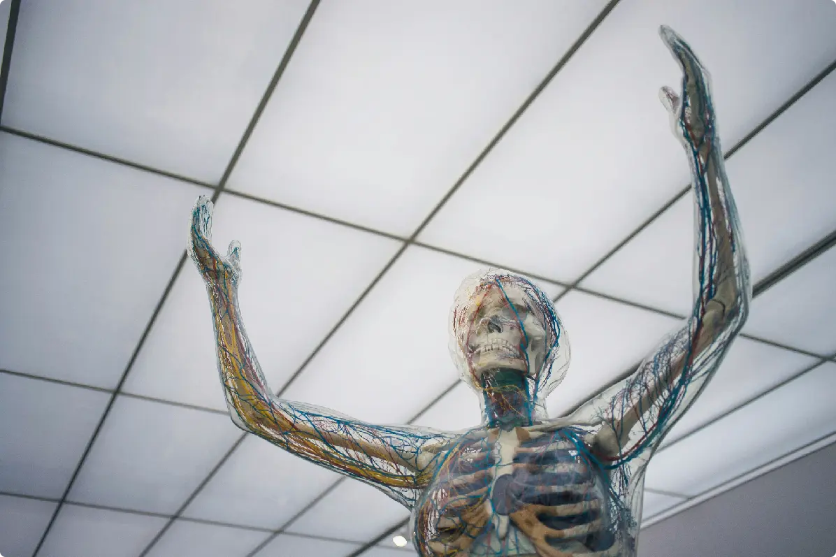 A close-up of a statue with raised arms, set against a modern ceiling grid in a bright indoor space.