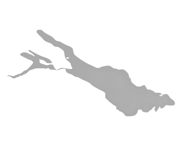 Leaf (Background Removed)