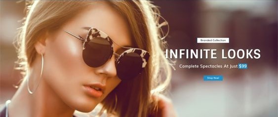 Polarized Sunglasses Ecommerce Business for sale