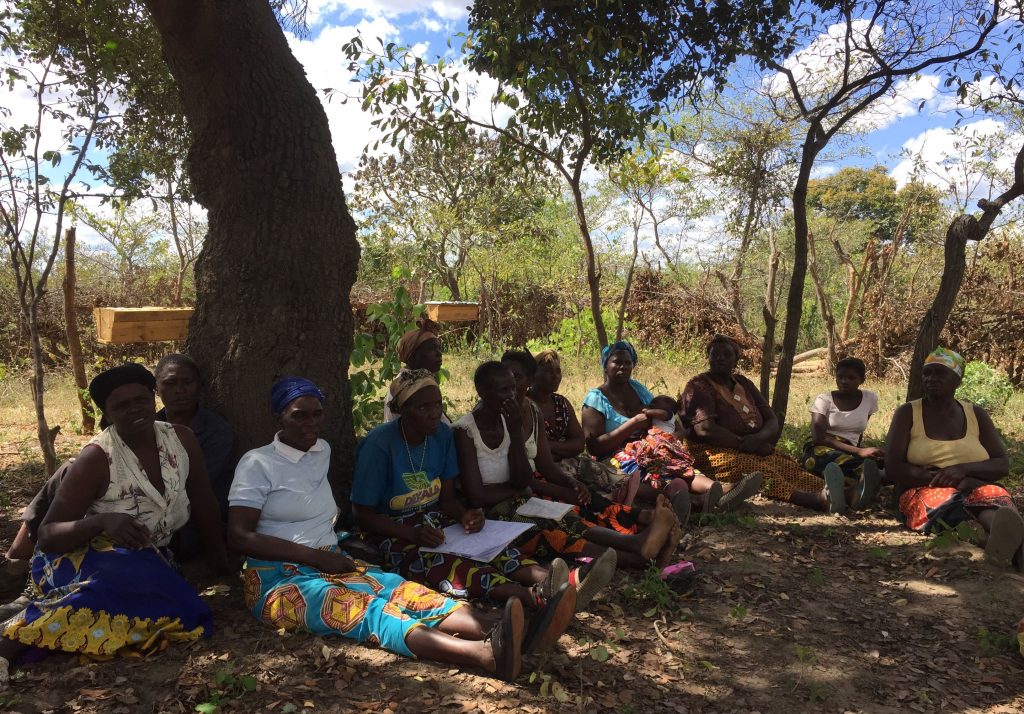 Ladies of the Haamupande group