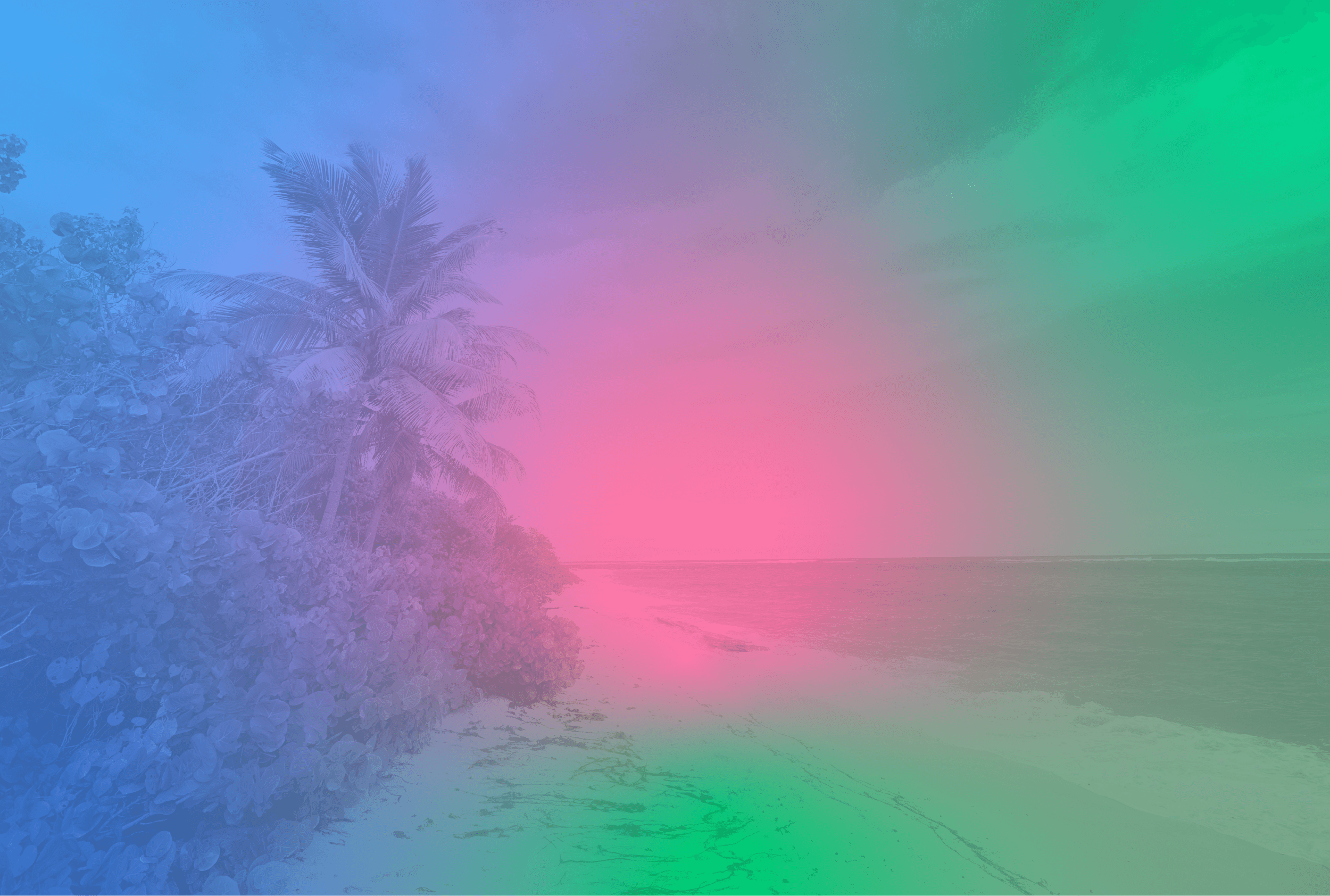 A scenic, empy beach in Puerto Rico with a colurful gradient overlay of blue, pink, and green hues.