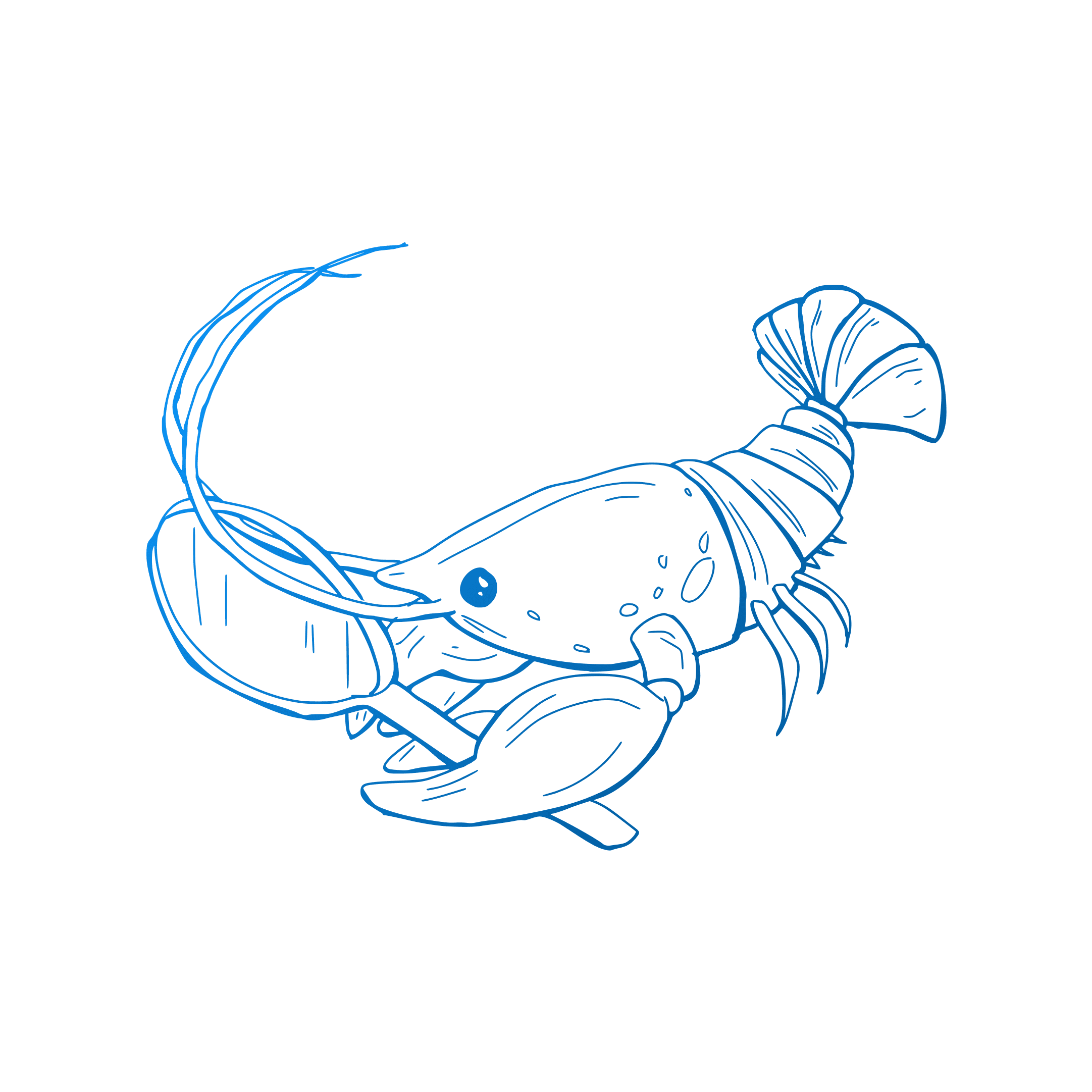 Hand-drawn line illustration of a crawfish holding a magnifying glass, channeling its inner Sherlock Holmes.