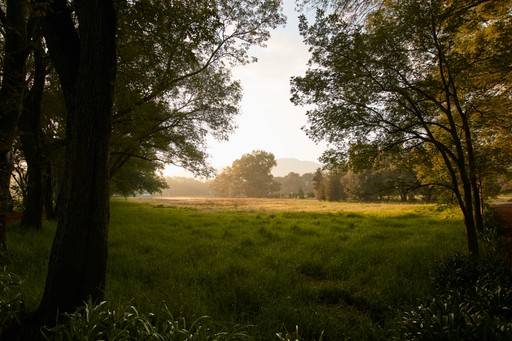 Jardín de Cobertizo residencia artística con árboles al atardecer, Jilotepec, México