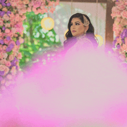 Professional Filmmaking 