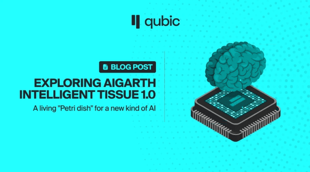 Exploring Aigarth Intelligent Tissue 1.0