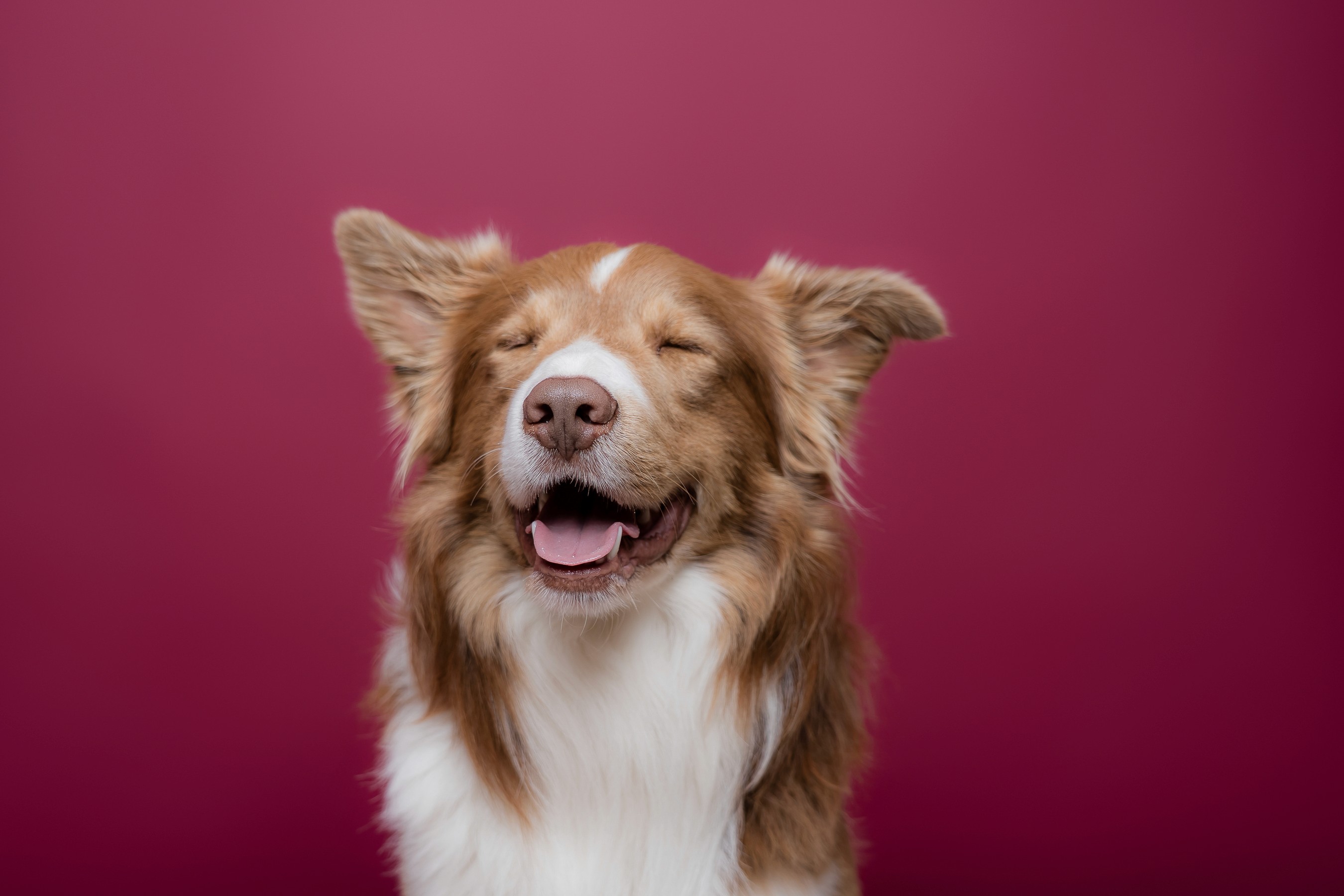 Anne-Claire Flécher Photographe