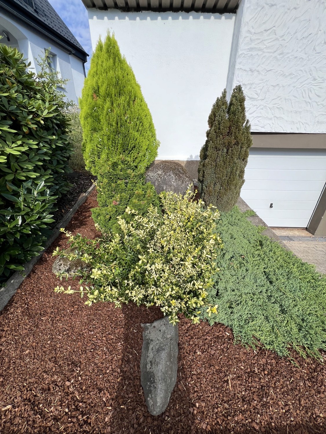 Frisch bepflanztes Beet mit Rindenmulch