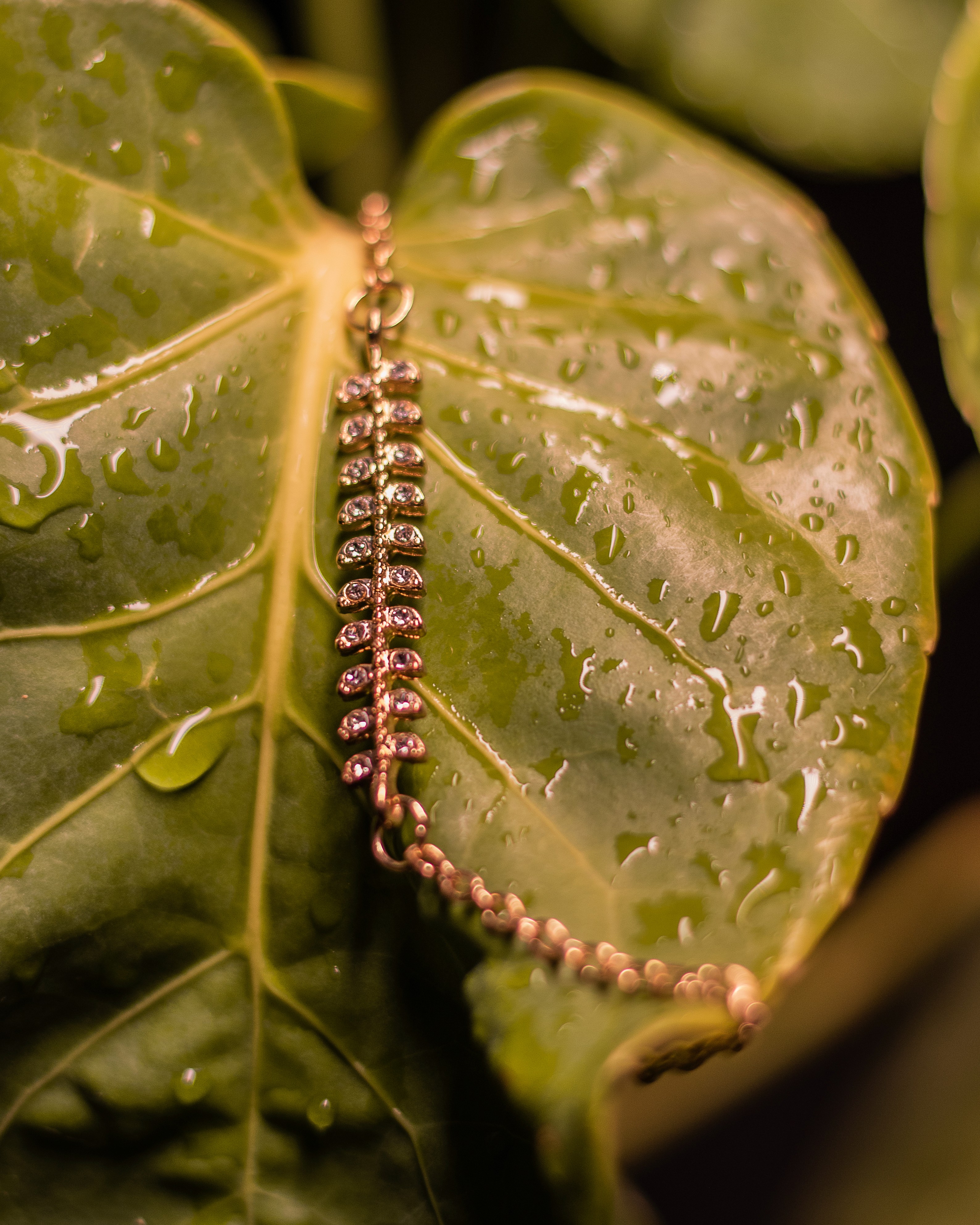 Album Photo Real Mehedi Free Framer Template Photography