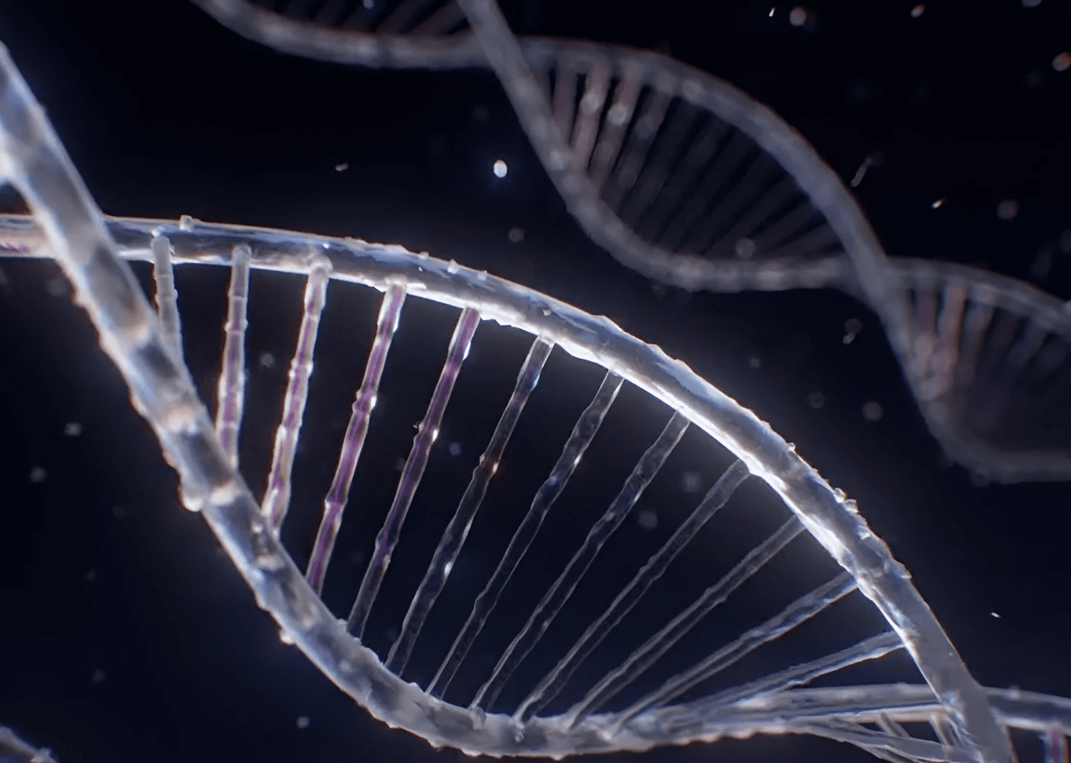 Portfolio project image