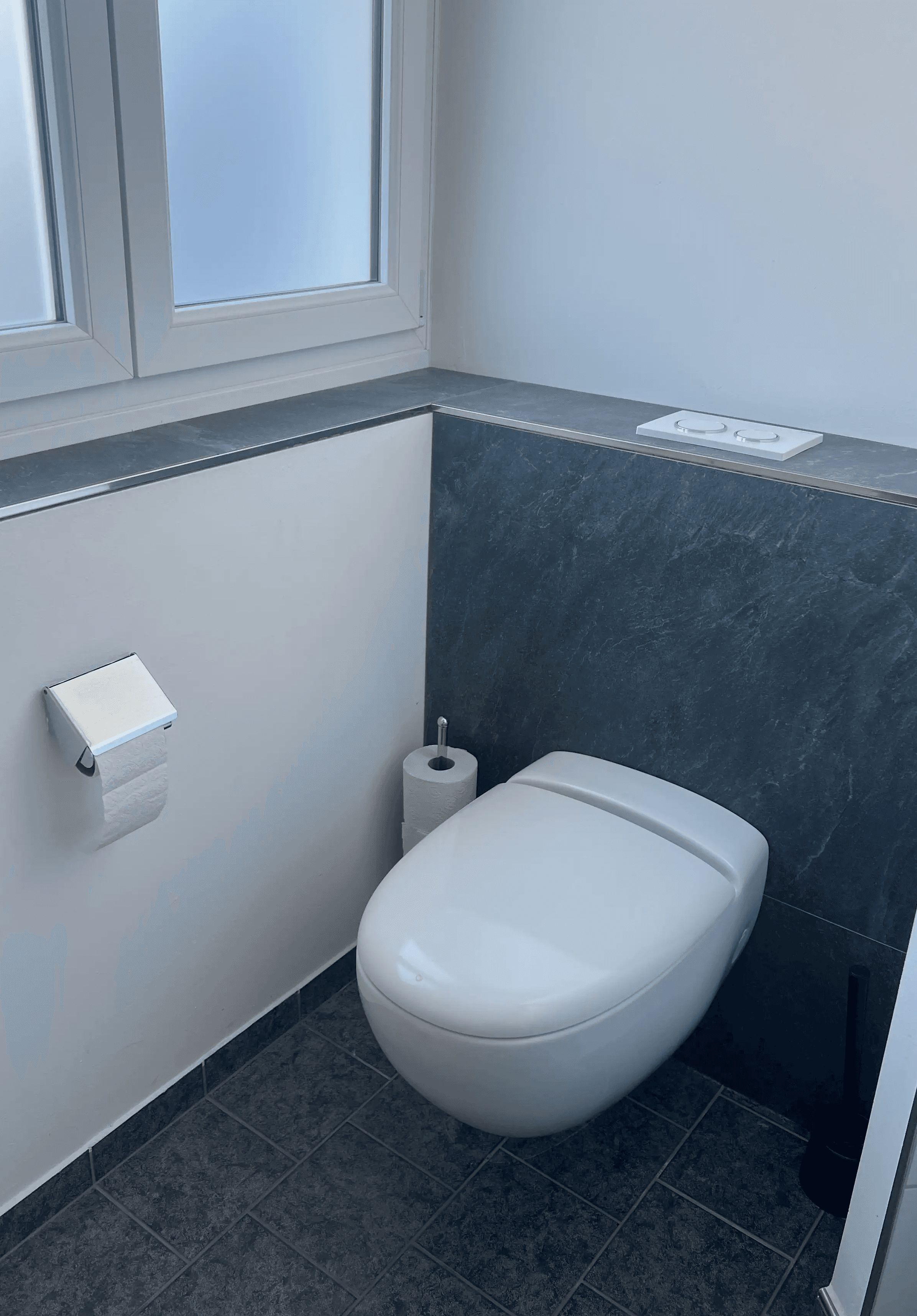 HOTI WC Sanierung in Widnau mit modernem WC und Wandplatten in Steinoptik