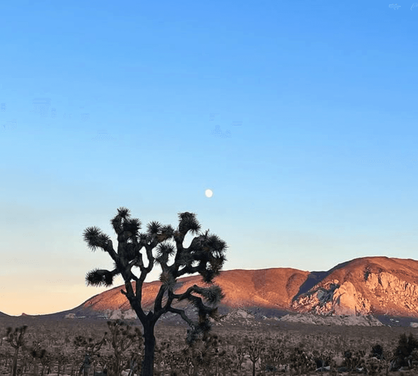 a person standing in front of a building