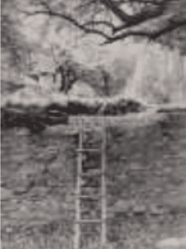 herd of sheep on road painting