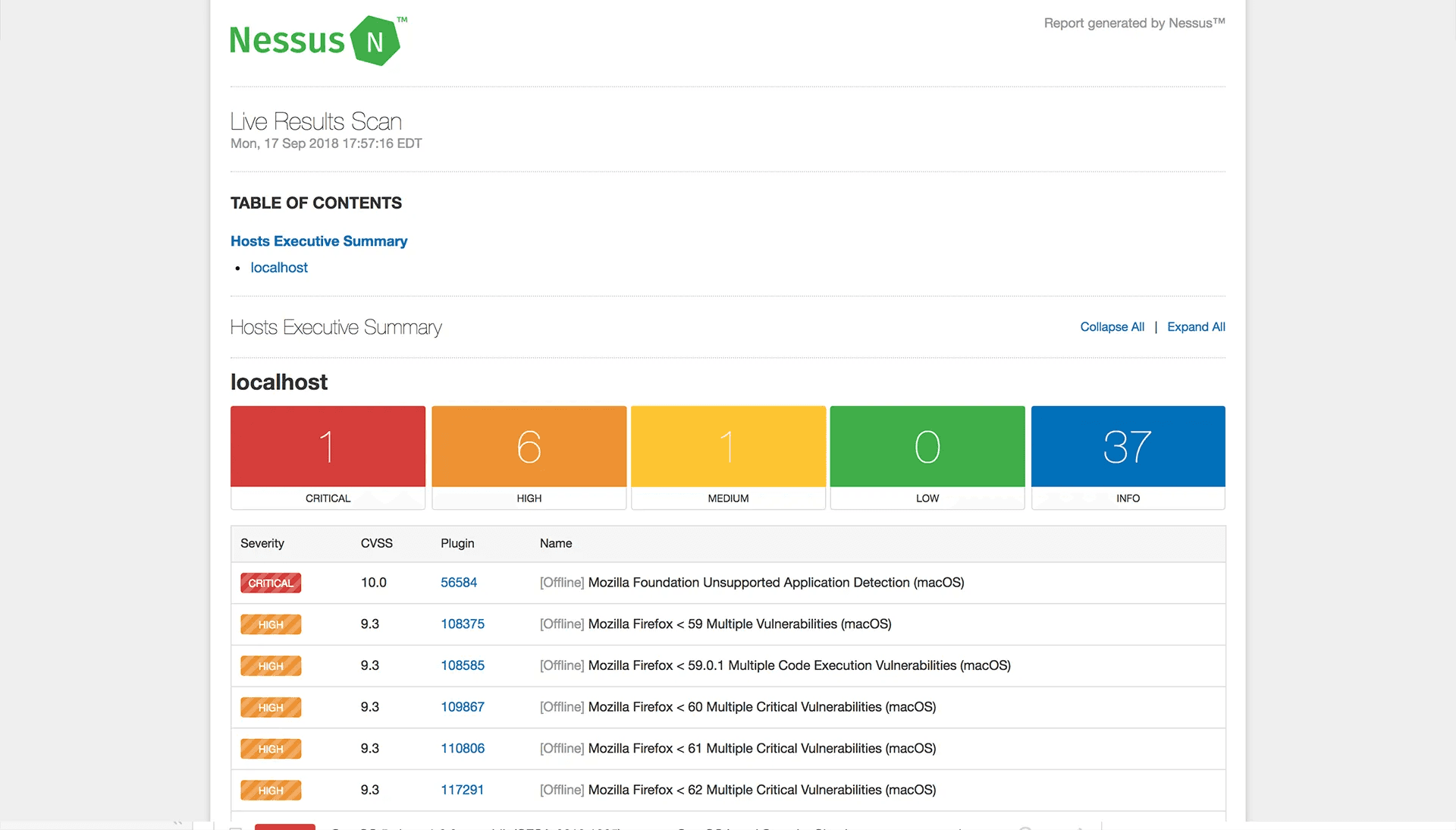 Nessus Report