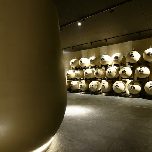 Verona: Tour por el Viñedo Vapolicella + Degustación de Vinos con Almuerzo en Marano Di Valpolicella, entradas