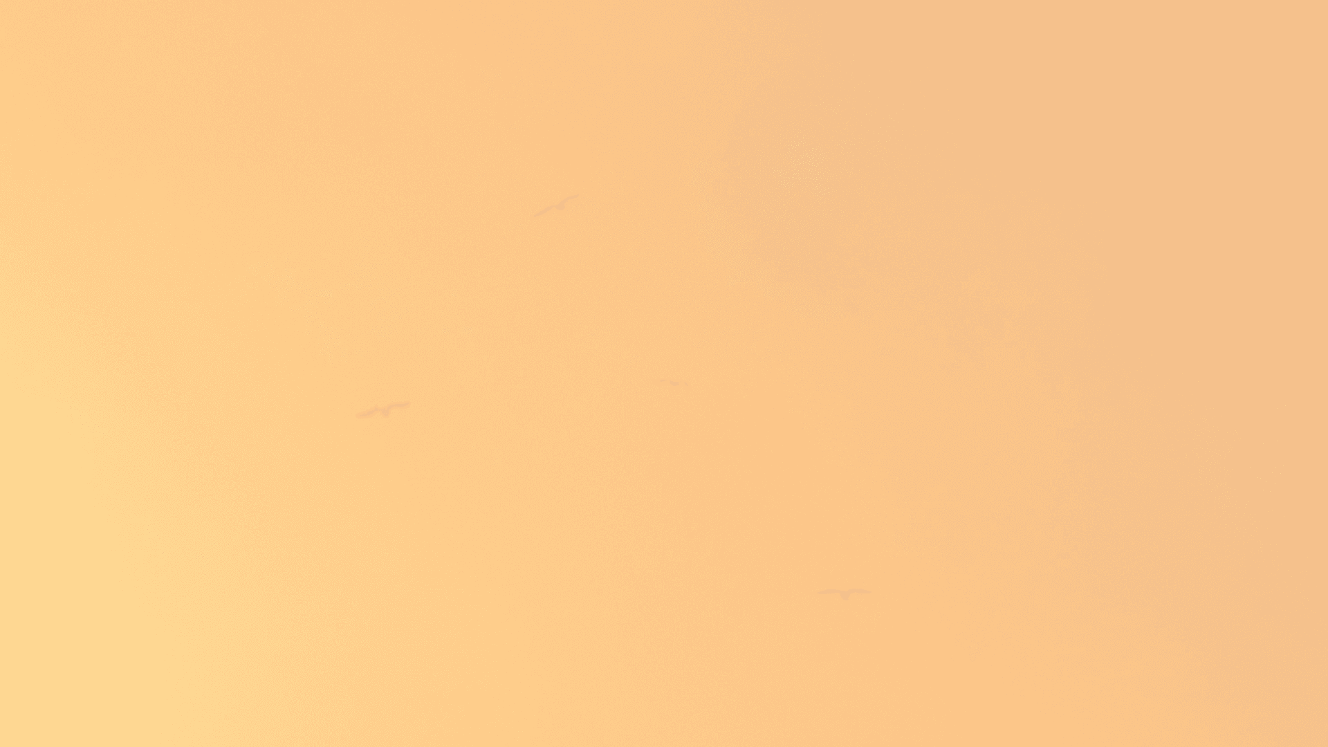 Ein sanfter Farbverlauf aus warmen Beigetönen, der einen weichen und beruhigenden Hintergrundeffekt erzeugt.