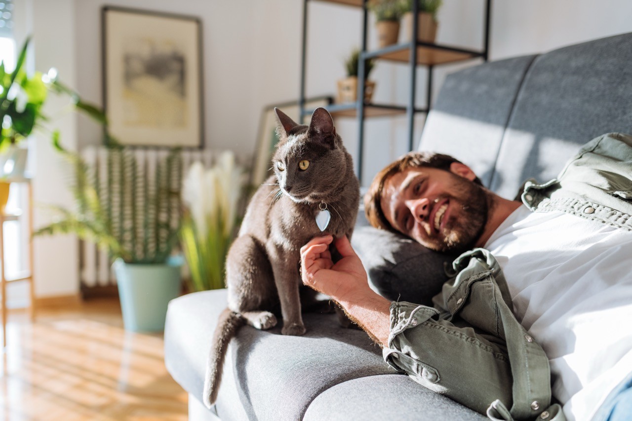 A relaxed man lounging on a gray sofa with a gray cat sitting beside him, surrounded by indoor plants and natural sunlight streaming through the window.
