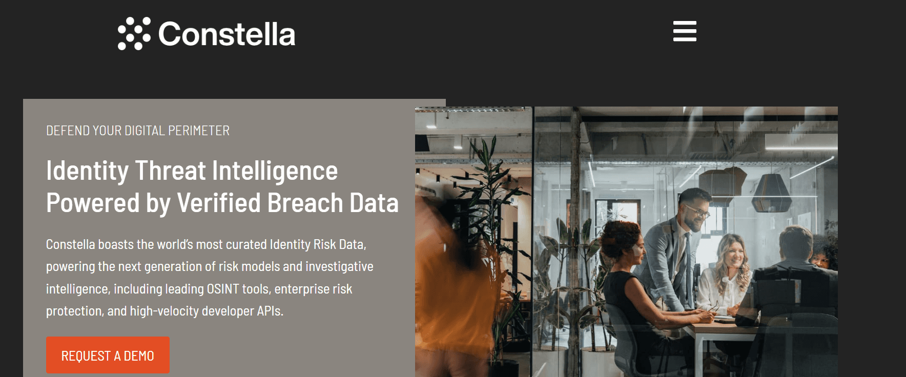Constella Intelligence Homepage