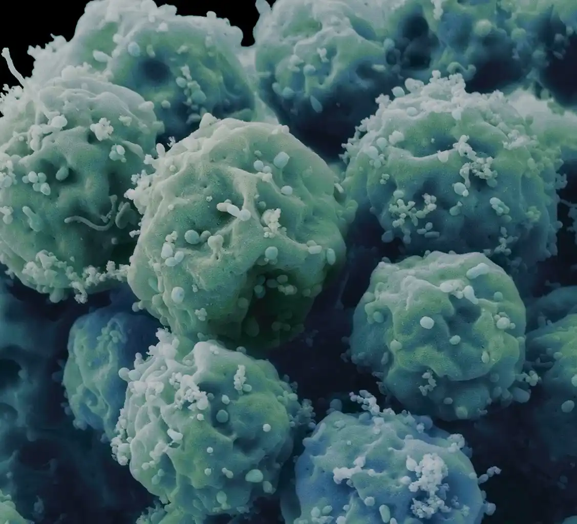 germs