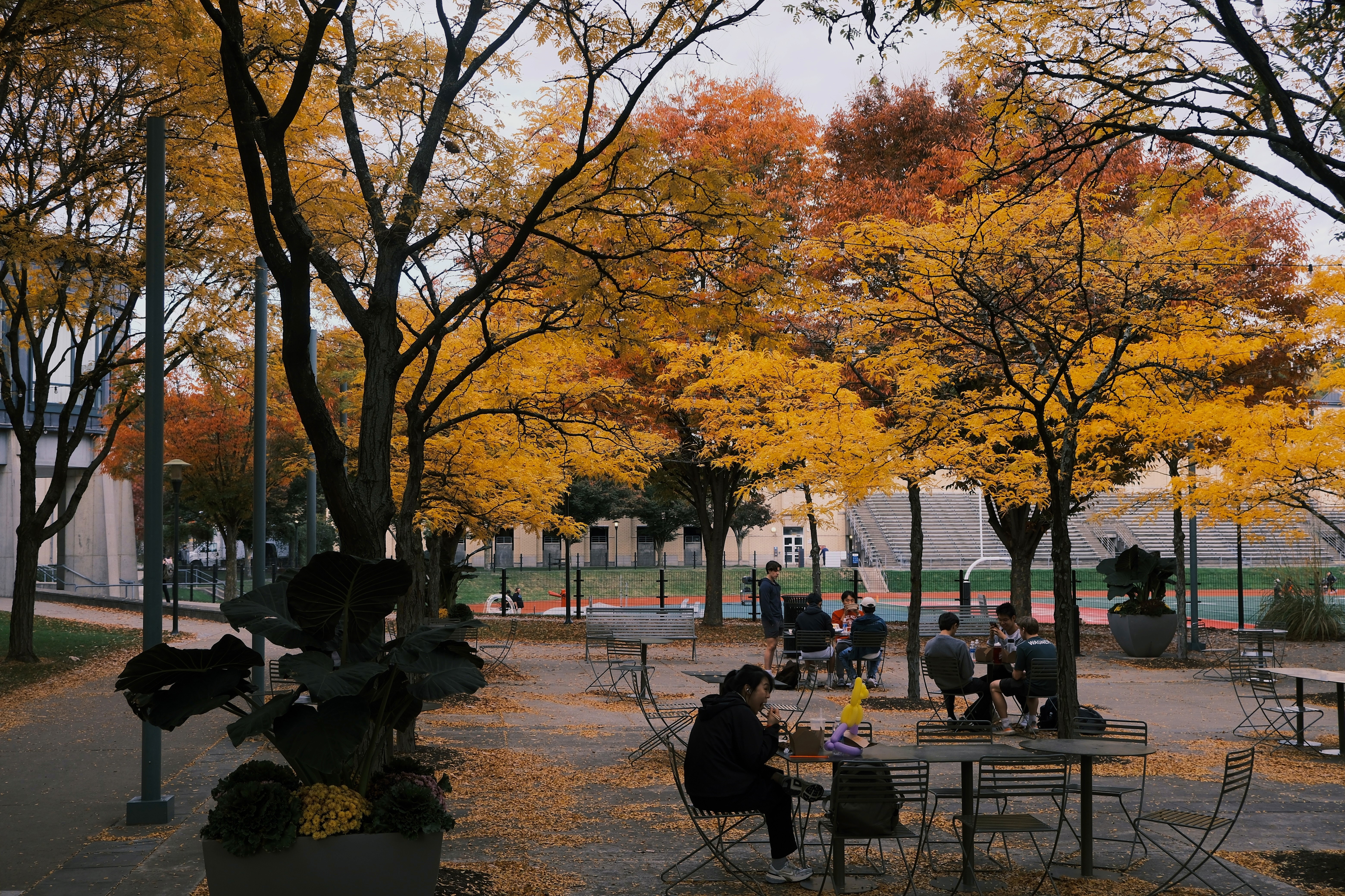 silhouette photo of man holding camera