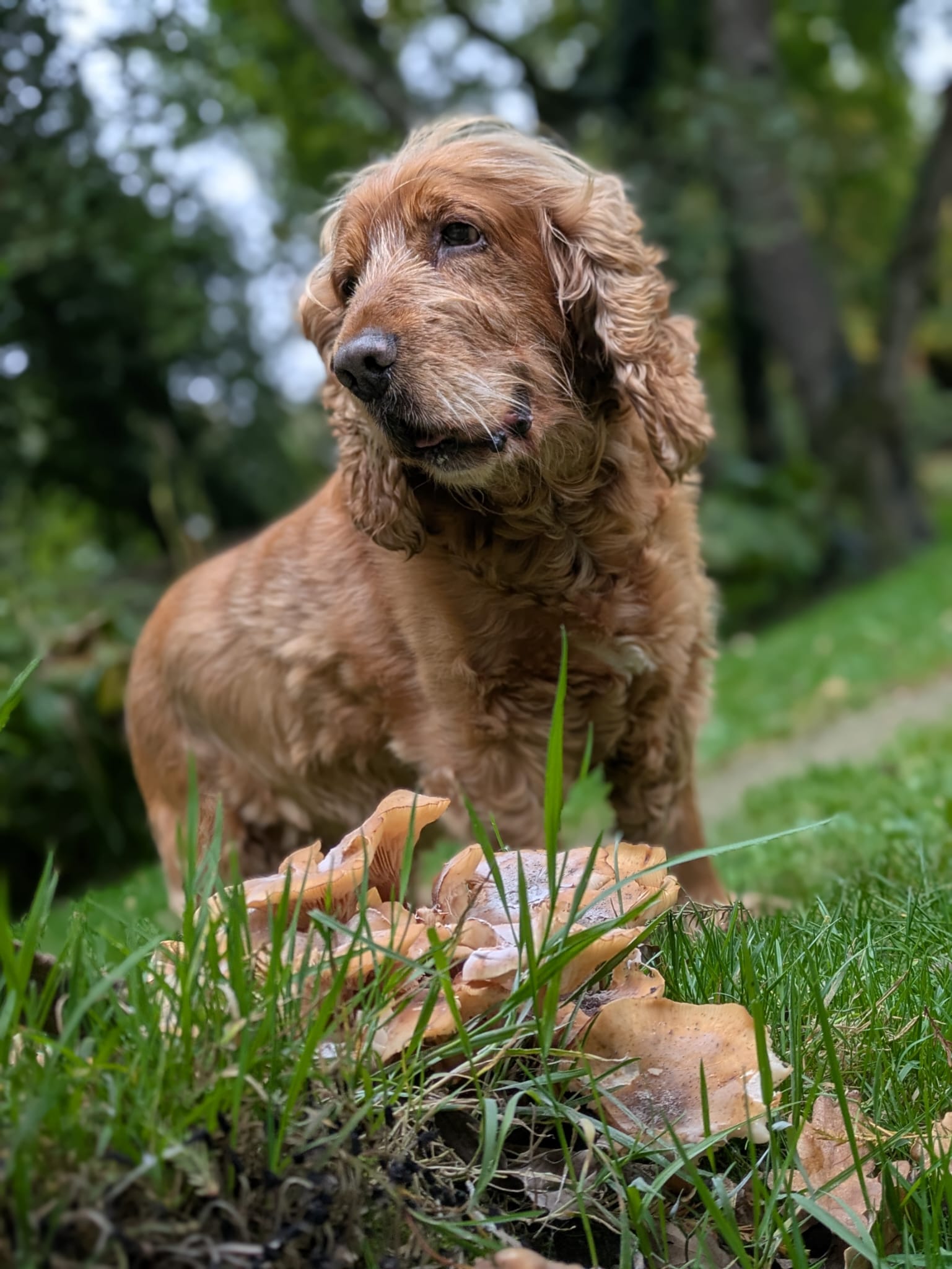 a person standing in front of a building