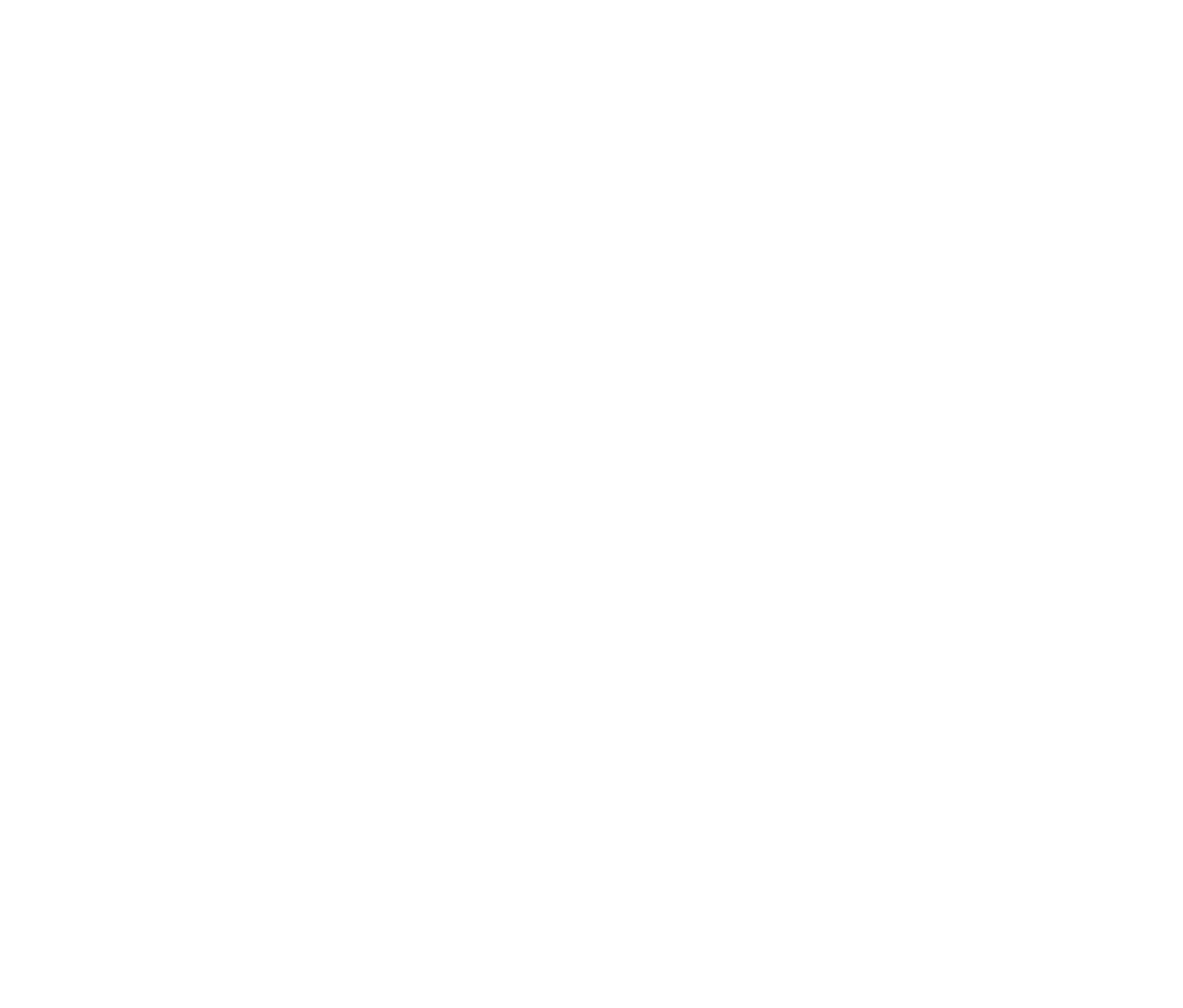 Firma manuscrita de Diego Carrasco