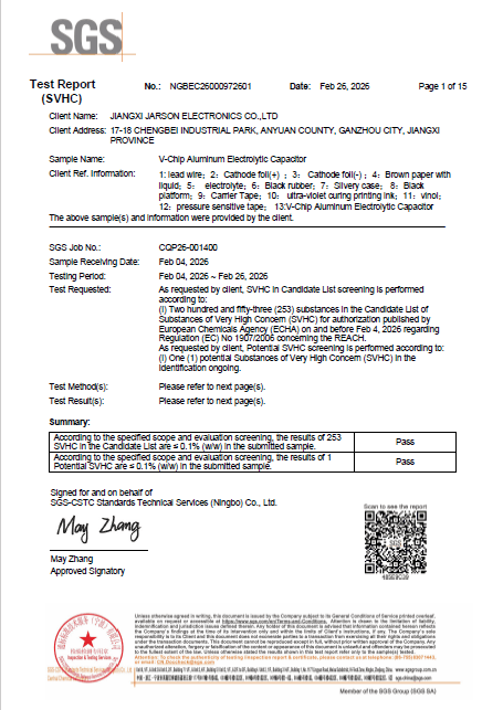 REACH&SVHC 247+6 SGS 2025 Test Report