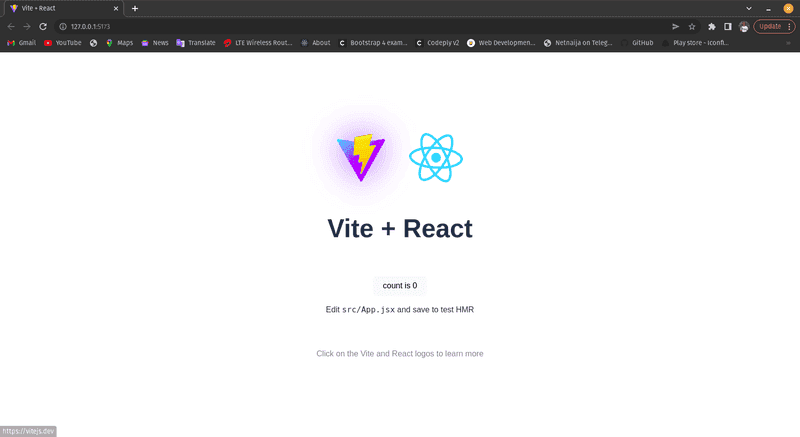 A successful project setup with Vite. 