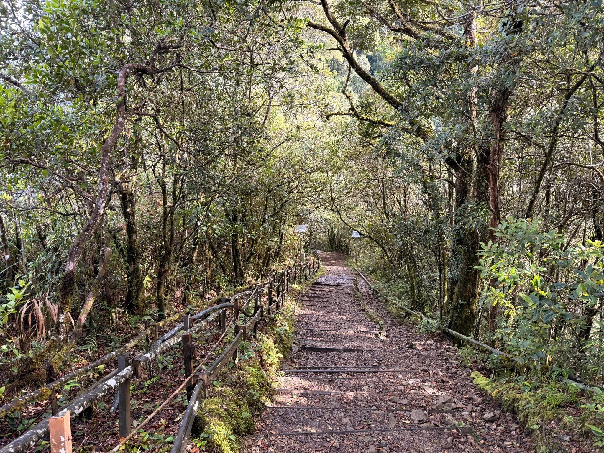 Art Prints Thumbnail