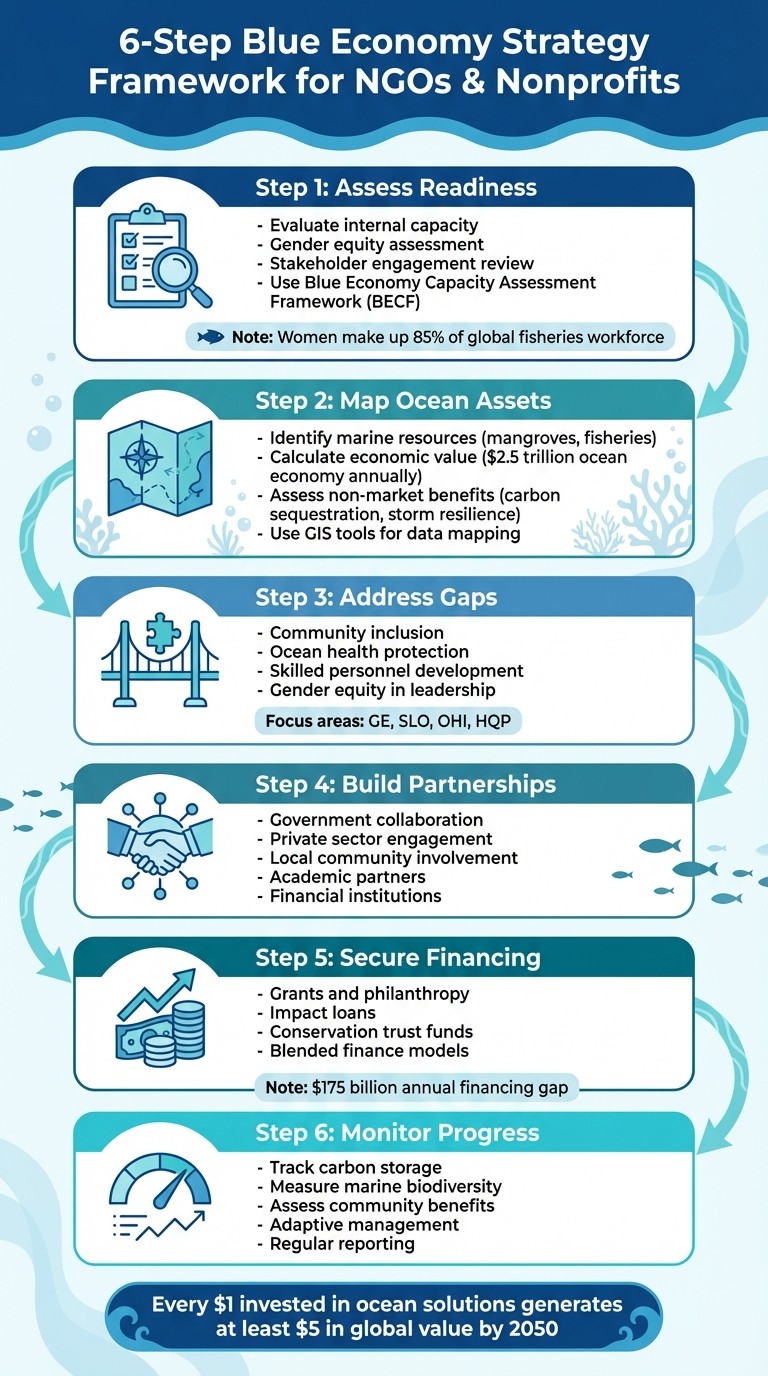 6-Step Blue Economy Strategy Framework for NGOs and Nonprofits