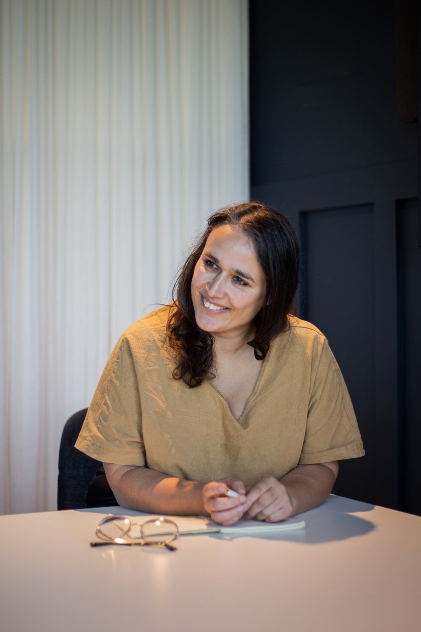 An image of Freelio's project ui