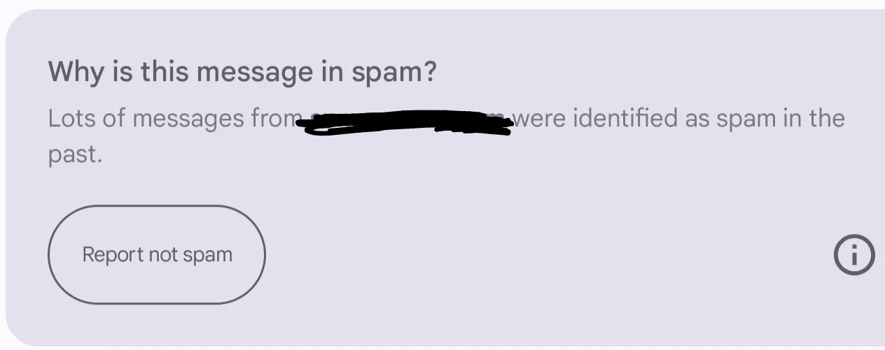 Screenshot of Gmail's spam filter notification on a light grey background displaying the message 'Why is this message in spam? Lots of messages from [redacted sender domain] were identified as spam in the past,' with a 'Report not spam' button in the bottom left corner.