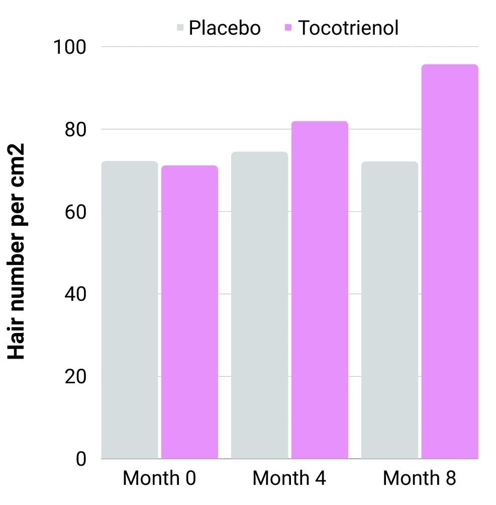 An illustration from Carlos Gomes Cabral