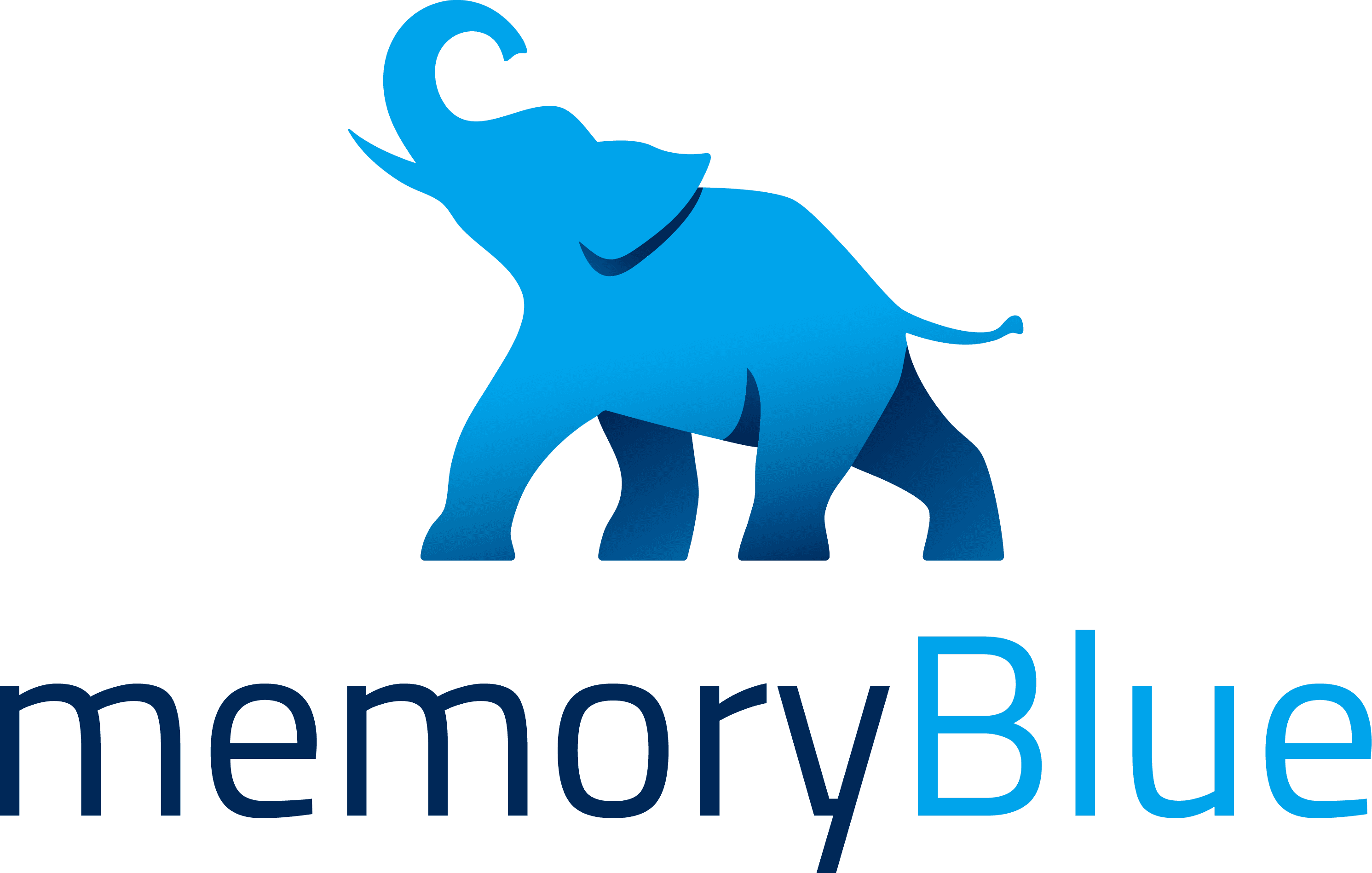 memoryBlue