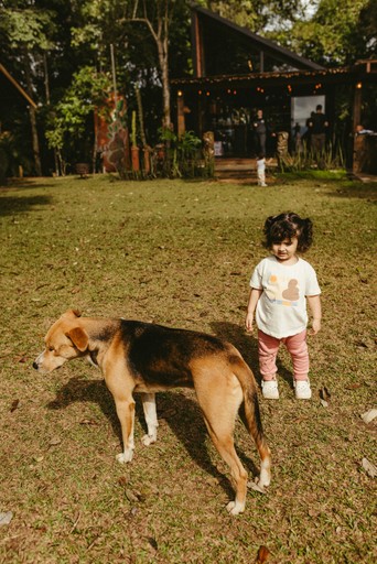 adaptive guidance respecting that every dog-parent relationship is unique and sacred