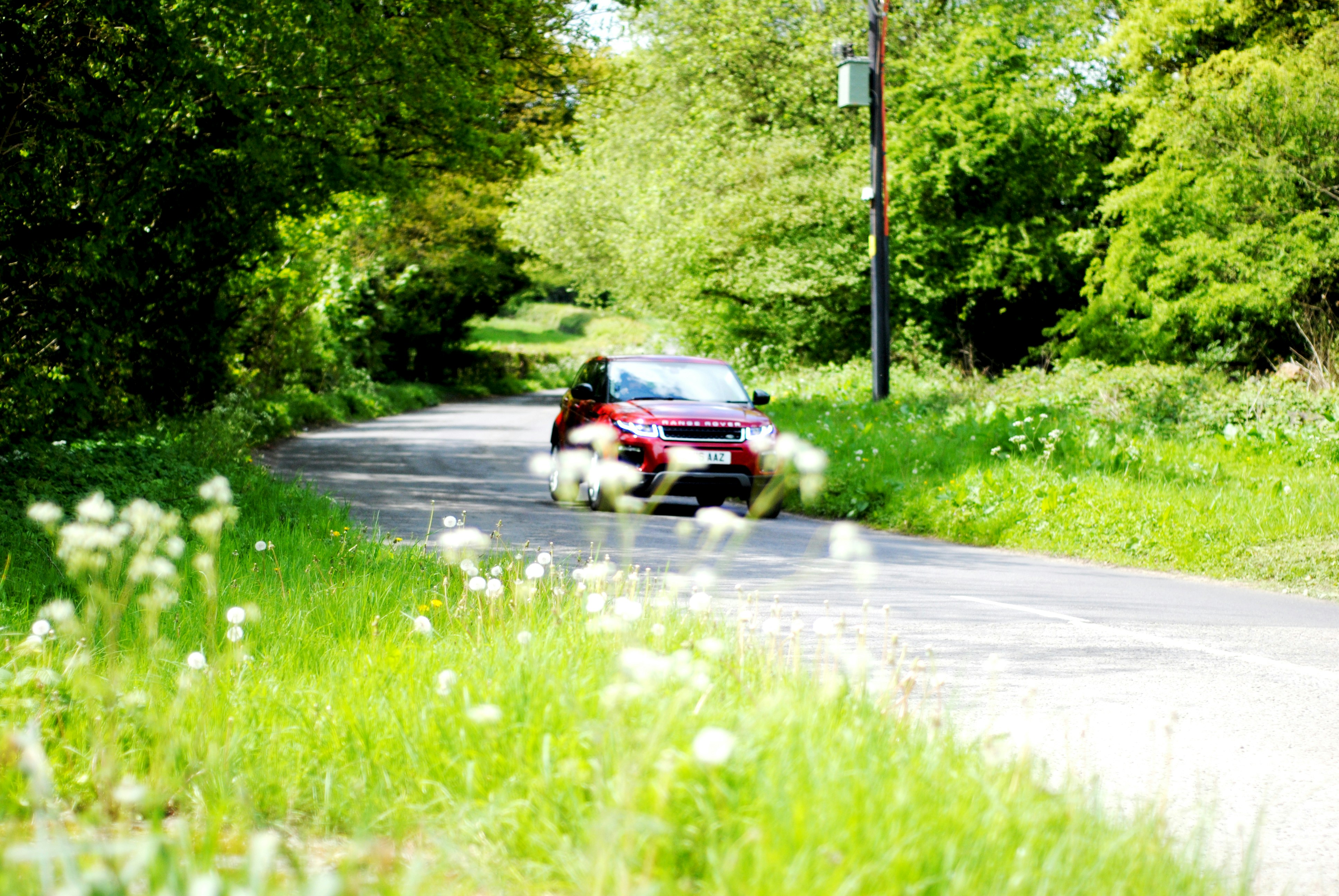 red car driving on sunny day