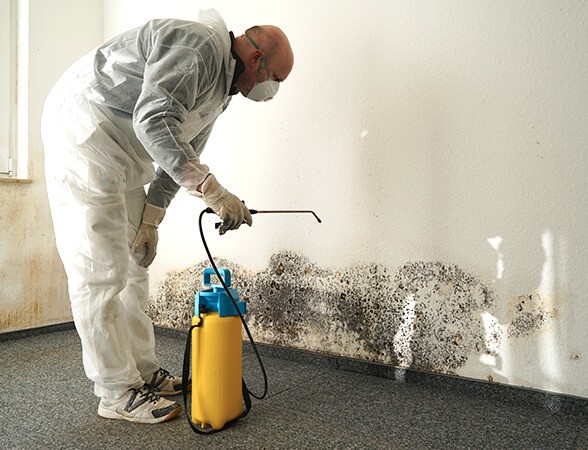 A professional wearing a white protective hazmat suit, respirator mask, and heavy-duty gloves uses a pressurised spray want to clean mould off walls.