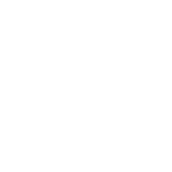 Logos des moteurs génératifs cibles de l'agence 0.1Lab : Deepseek