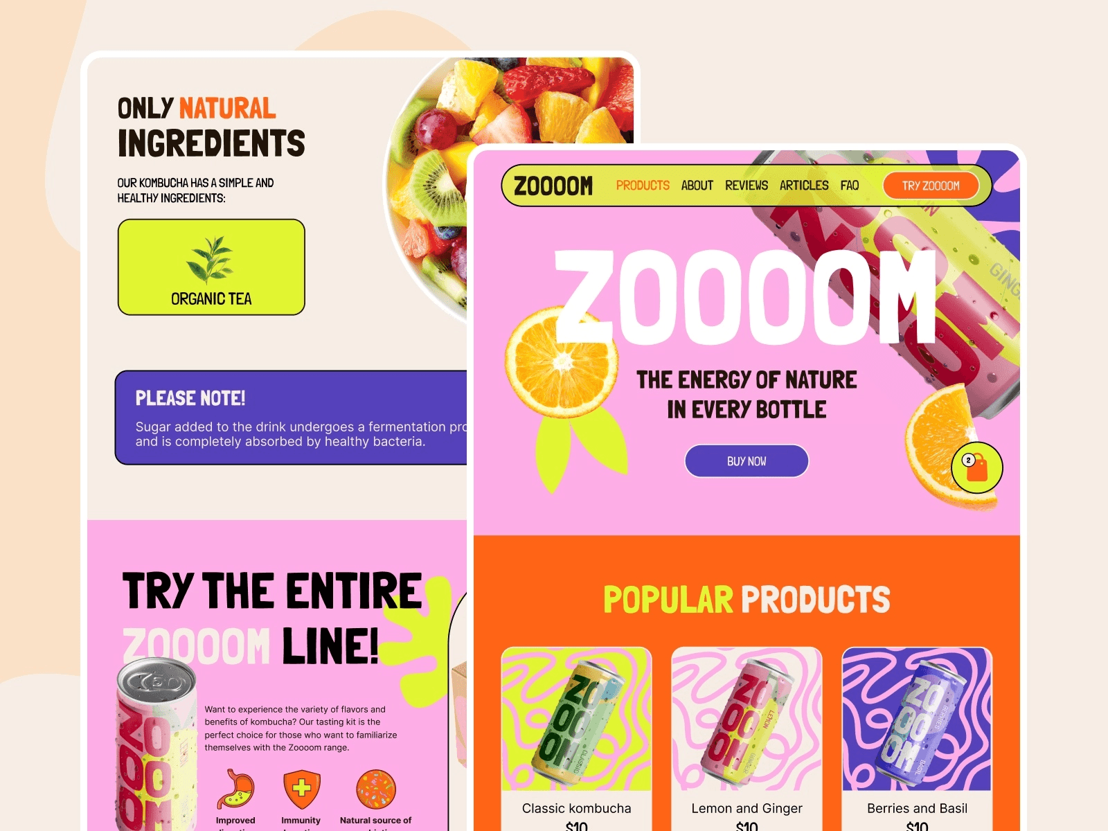 Top 13 Colorful Website Templates - Zooom