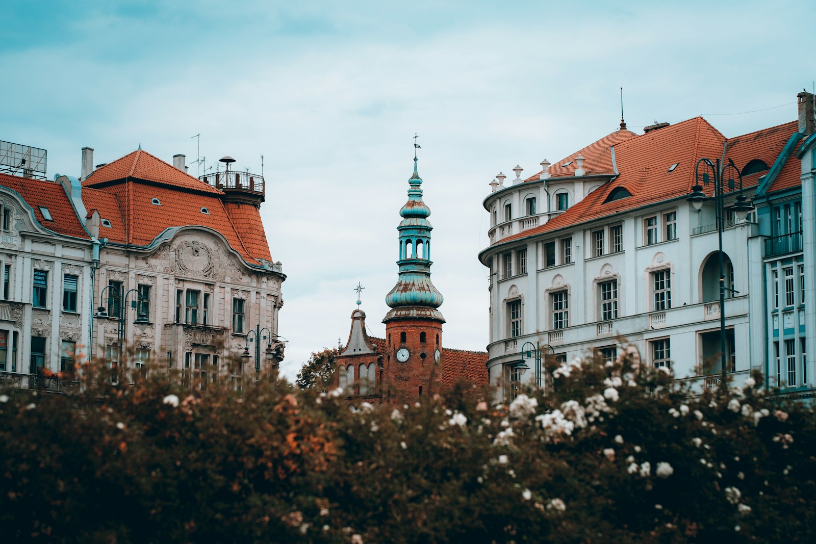 A real student city on the Brda river
