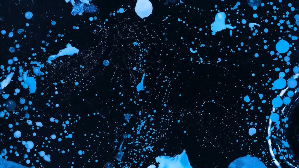 Background Image testimonial Section