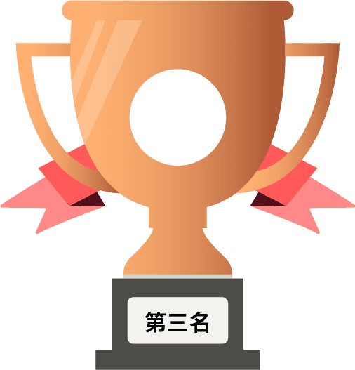 3rd Place