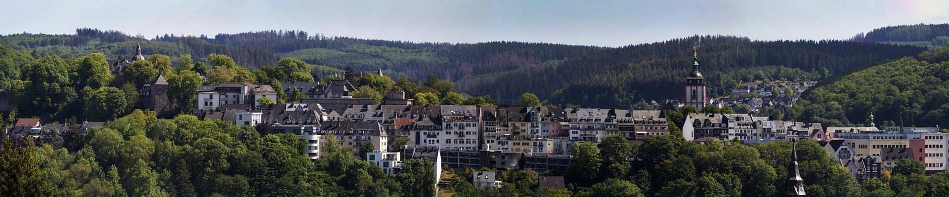 baumpflege siegen